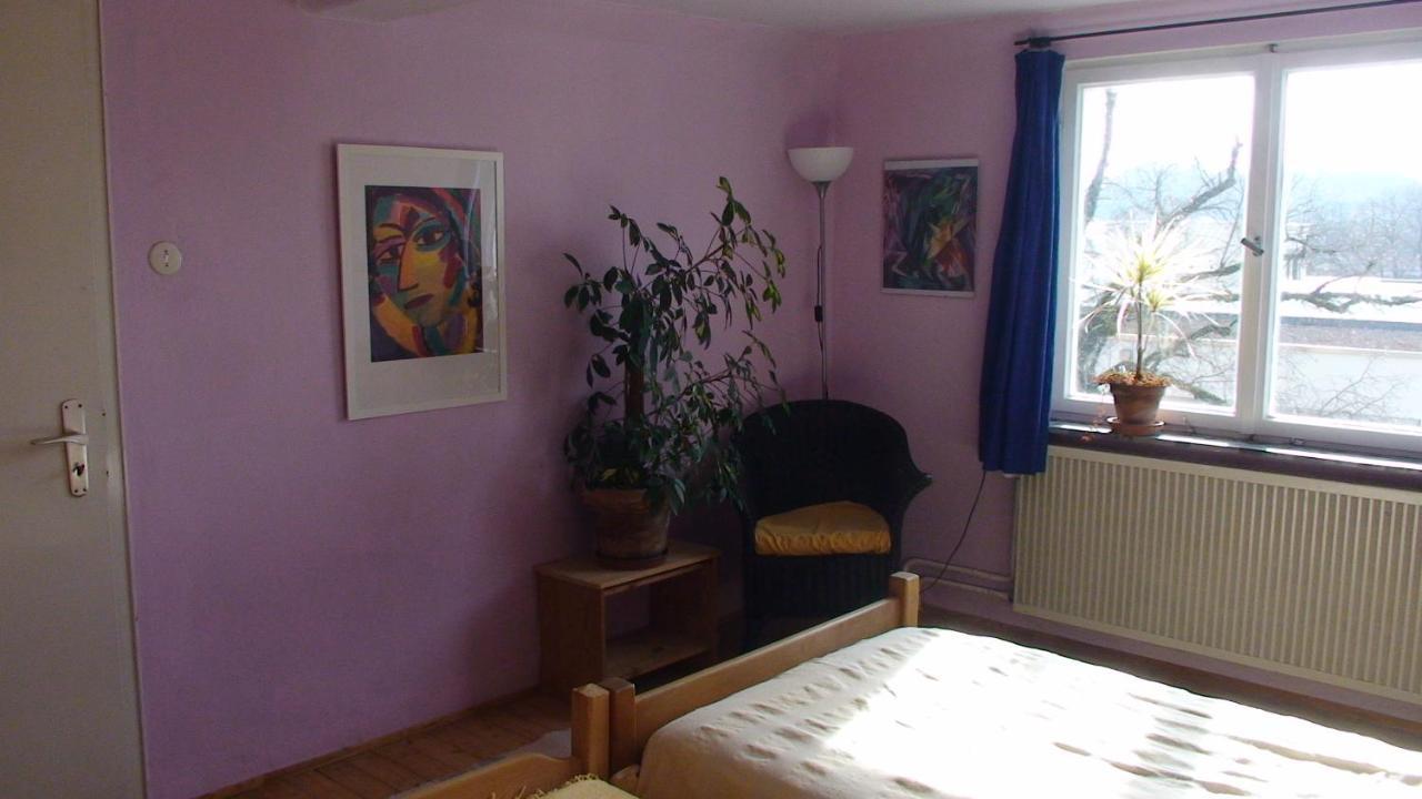 Haus Wunderlich Apartamento Sigmaringen Exterior foto