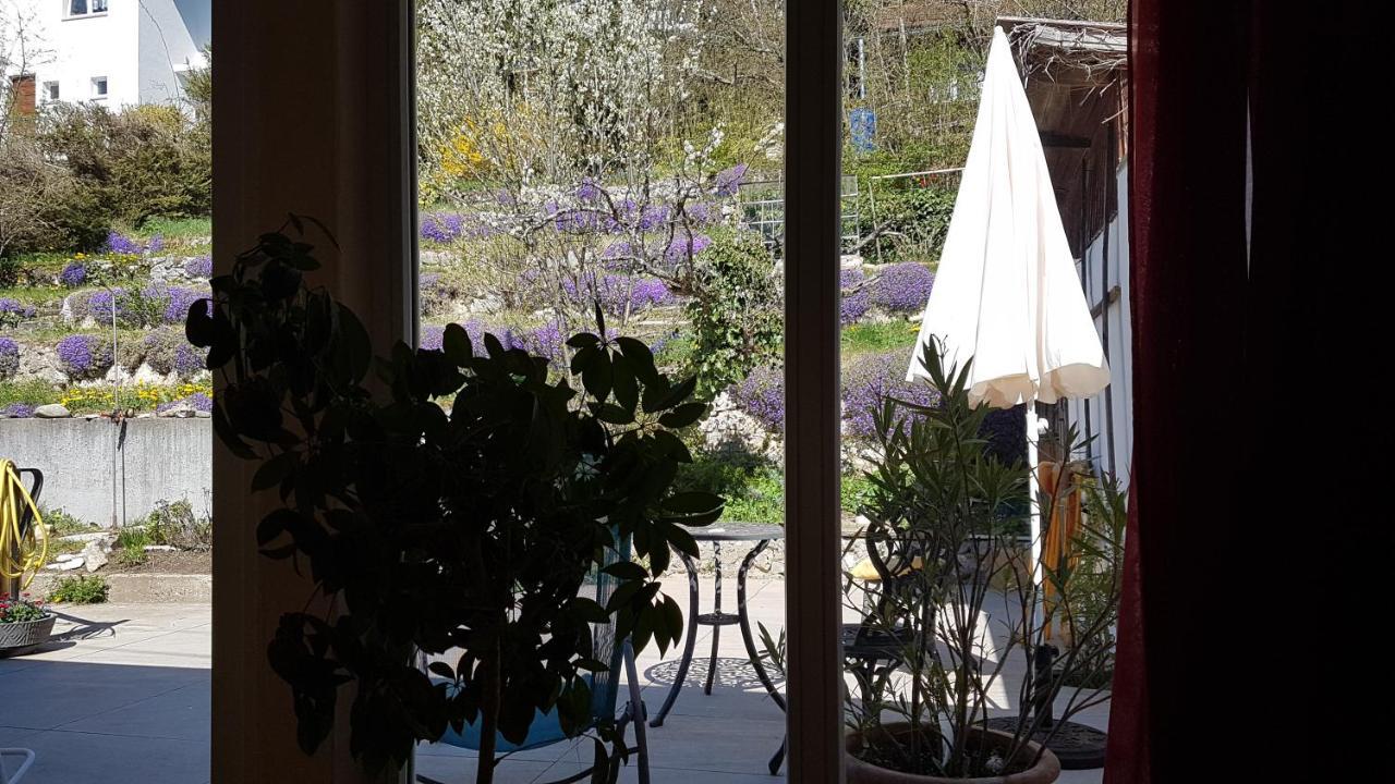 Haus Wunderlich Apartamento Sigmaringen Exterior foto